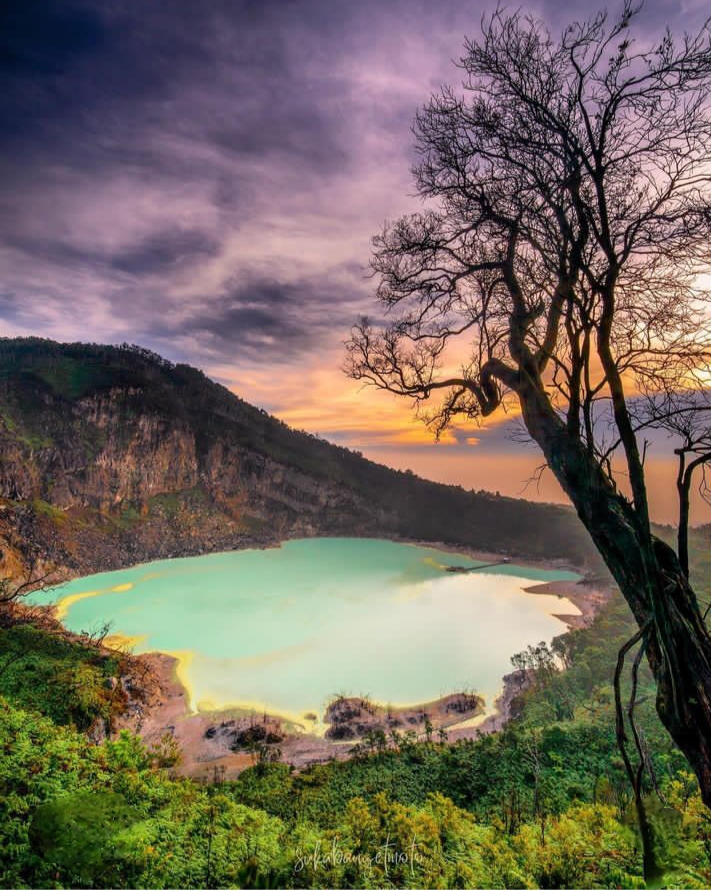 Kawah Putih 1